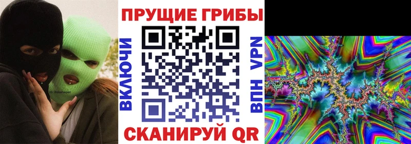 Купить где Белово Псилоцибиновые грибы MAGIC MUSHROOMS