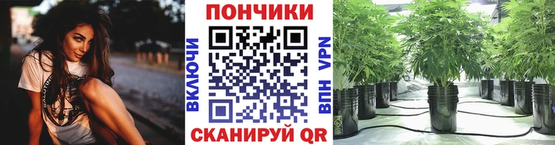 Шишки марихуана индика Белово